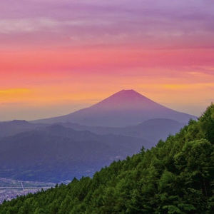 Meet your Posher, Jack